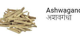 ash4-removebg-preview ash4-removebg-preview