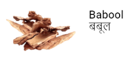 babool6-removebg-preview babool6-removebg-preview